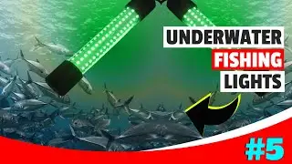 The 5 Best Underwater Fishing Lights For 2025 | Underwater Led Fishing Light