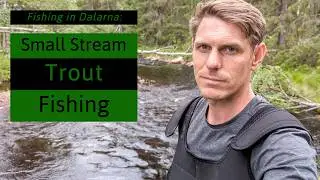 Fishing In Dalarna: Small Stream Fishing For Trout