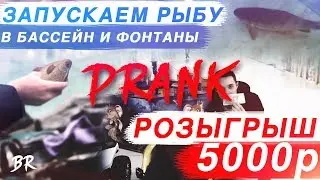 СУМАСШЕДШИЕ ПРАНКИ НАД ЛЮДЬМИ / ЗАПУСКАЕМ РЫБУ В БАССЕЙН, ФОНТАНЫ / РЕАКЦИЯ ЛЮДЕЙ НА НАШИ ВЫХОДКИ