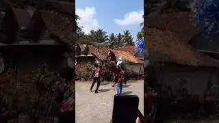 #horse #viral #trending #trendingvideo #tranding