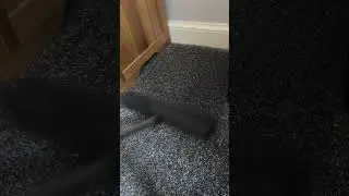 Sweeping carpets isn't as crazy as it sounds! Look how much hair it picks up!? #cleaning
