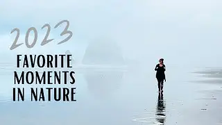 my favorite moments in nature