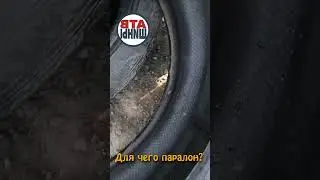 Для чего наклеили губку в колёса? #shorts