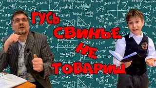 Гусь свинье не товарищ