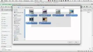 NexGen Gallery - How to create a photo gallery.
