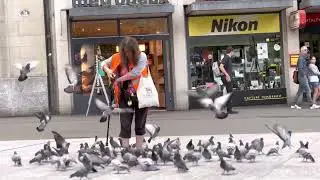 Kuşlara yem vermeyin çünkü;