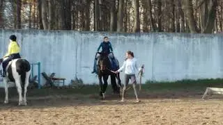 Ох этот Баян-любимый мой мальчик...