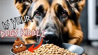 What Are You REALLY Feeding your DOG??!! 
