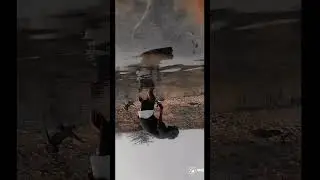 dance interest