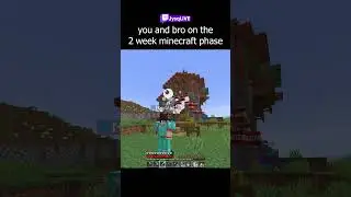 you and bro during the 2 week minecraft phase