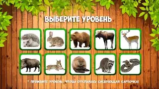 Животные леса🐰🐻🦌🦊🐺🦝🐗🐍. Малыш учит. Играем вместе. Игрушки и игры с детьми.