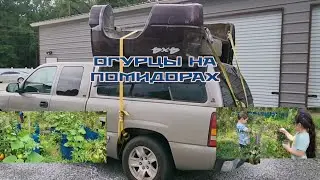 КУПИЛ МАШИНУ ЕДУ ЗА ЗАПЧАСТЬЮ / ВНУКИ СОБИРАЮТ ФРУКТЫ  / ЧТО С МОИМ ОГОРОДОМ  ?
