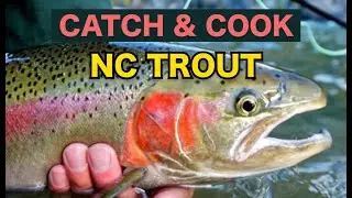 Catch & Cook - North Carolina Trout