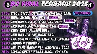 DJ TIKTOK TERBARU 2025-🎵 DJ DJ STECU STECU STELAN CUEK REMIX 🎵 DJ COBA COBA JALANIN DULU FULL ALBUM