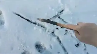 Просто выпал в апреле снег
