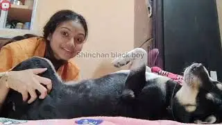 Started Night Fun with Me and My Dog Shinchan 🐶🌙 | Funny and Angry Moments 😅