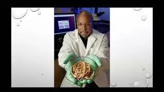 Nematodes | | Dr. Moses | Med Exam Expert