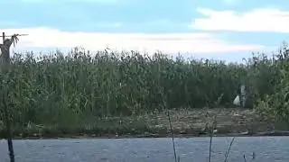 Ожившее пугало в России 😂😂😂