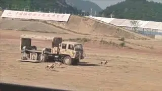jiqigou