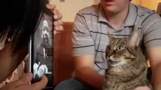 КОТ РАСИСТ