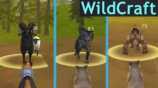 Все БОССЫ долины ГИГАНТОВ в WildCraft!
