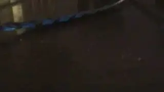 DO NOT WATCH!