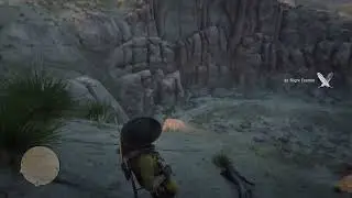 Kamikaze Ravens in RDR2