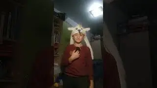 у меня теперь есть домашний питомец🥹💕