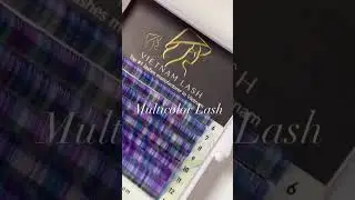 Multicolor lash extensions | Vietnam Lash Factory #vietnamlashfactory #lashextensions