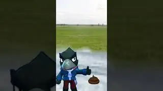 Морская черепашка, а нет это какашка