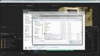 Premiere Pro CC 2017 Problem
