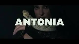 ANTONIA -  Prieteni (Official Lyric Video)