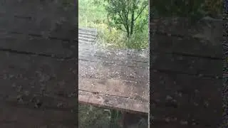 Град в Черниговской области 20.06
