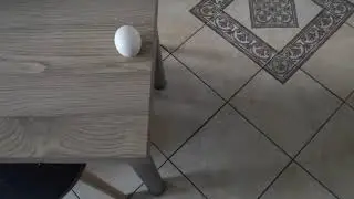 EGG