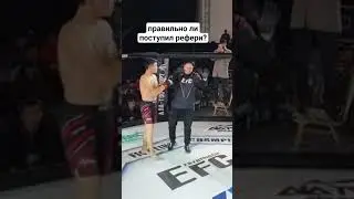 правильно ли поступил рефери?