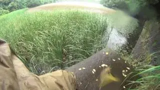 deps スリザーク フロッグ　bass fishing