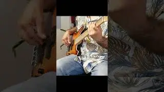 Sire Marcus Miller U5 vs Harley Benton MV-4MSB  #shorts