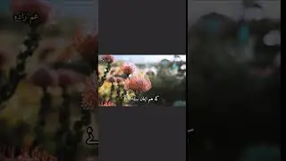 Azmaish Telawat E Quran | Telawat Quran Pak | Beautiful Awaz | خوبصورت آواز میں تلاوت