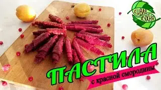 ✔ПАСТИЛА ИЗ КРАСНОЙ СМОРОДИНЫ 😋🍒👌 4 ВИДА! RAW