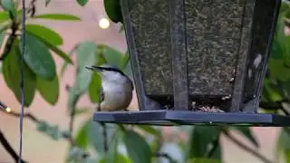Testclip Fujifilm X-T2 and Fujinon 100-400mm 4K