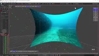 Determining True Field of View and Focal Length