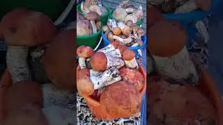 На Океане 