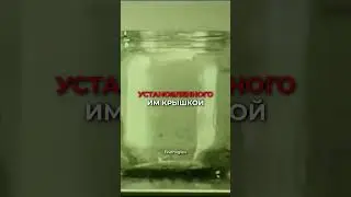 Эксперимент