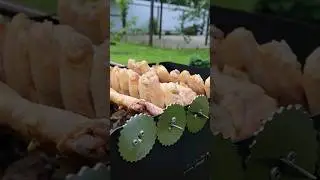 Полезная посылка