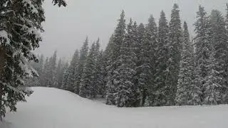 Rad, Jenn, R & Sean Snowboard through the 