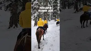 Pahalgam snowfall begins | latest video Pahalgam | #trending #youtubeshorts #kashmir #pahalgam