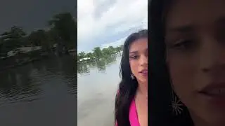 De paseo por el manglar