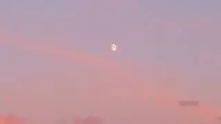 Alex Cameron - Miami Memory - (slowed + reverb)