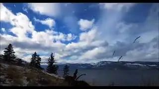 Harika Bir Fon Müziği - Ben Böyle Olmamalıydım ♬♫ ♪
