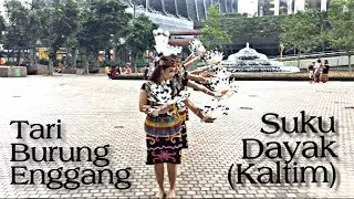 Tari Burung Enggang Khas Suku Dayak (Kaltim) oleh PMI Hongkong//MELODY DANCE Group
